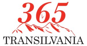 Transilvania365, partenerul tău de încredere în comunicare și promovare