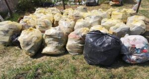 27000 lei amendă pentru 7 ”ecologiști” care au aruncat saci cu gunoaie în pârâul Bârsa
