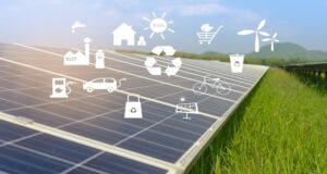 România eco-friendly. 5 trenduri sustenabile, pe val la nivel mondial, câștigă teren și la noi în țară