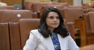 Deputata Predescu: Distribuitorii de energie comit abuzuri față de consumatorii noncasnici
