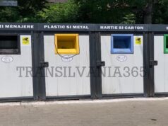 Reciclarea, parte din rutina românilor. 8 din 10 români spun că au acces facil la infrastructura de colectare selectivă a deșeurilo