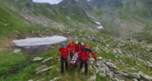 Bărbat în șoc anafilactic după ce a fost înțepat de o albină