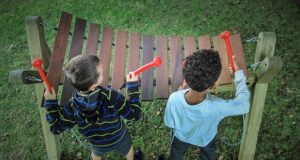 Niciun proiect din bugetare participative nu a fost implementat de primarul Coliban