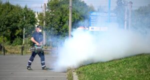 Brașovul intră în campania de combatere a țânțarilor și căpușelor. Tratamente în tot orașul între 1 și 14 august
