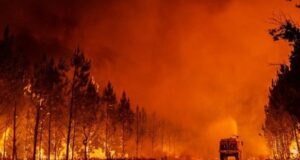 România acordă sprijin autorităților din Franța pentru stingerea incendiilor de pădure