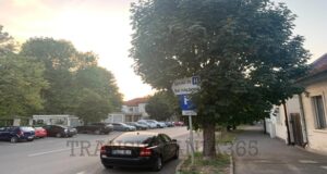 Indicatoare rutiere amplasate la Brașov printre copaci (FOTO)