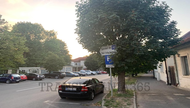 indicatoare rutiere in copaci