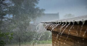 Cum arată prognoza pentru acest weekend? Ploi, ninsori și vânt