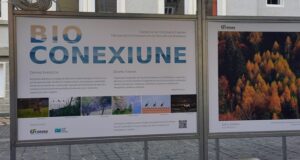 Expoziția de fotografie ”Bioconexiune” pe Strada Republicii