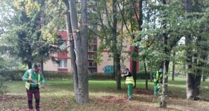 Luna curățeniei de toamnă la Brașov