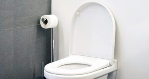 Clujul- singurul județ din România fără toaletă în curtea școlii