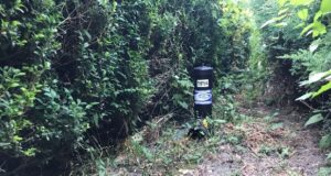 În perioada 12 – 19 octombrie se va desfășura cea de a treia campanie de deratizare din acest an