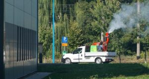 55 de milioane de lei pentru 5 ani! Licitație pentru servicii de combatere a căpușelor, țânțarilor și șobolanilor