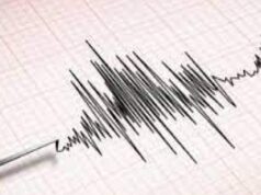 Cutremur de 4,8 în Vrancea! Pompierii brașoveni verifică dacă seismul a produs pagube