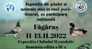 Expoziție inedită în Făgăraș