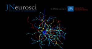 Articolul unui cercetător brașovean, publicat în prestigioasa revistă „The Journal of Neuroscience”