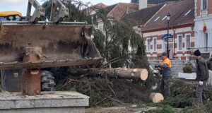 Pomul de Crăciun din Râșnov, ajutor de încălzire pentru o familie care și-a pierdut casa într-un incendiu