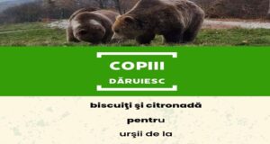O fetiță de 8 ani vinde biscuiți și citronadă pentru a ajuta urșii din Sanctuarul de la Zărnești