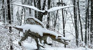 (FOTO)Lumea Dinozaurilor de la Râșnov s-a îmbrăcat în haine albe