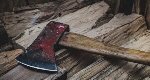 Dublă crimă la Bran! Doi soți au fost măcelăriți în dormitor