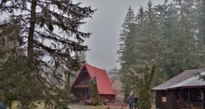 Măsurile luate de Protecția Consumatorilor după toxiinfecția suferită de copiii aflați în tabără în Poiana Brașov