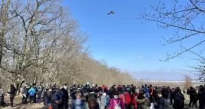 O tânără din județul Brașov, studentă la Sibiu, e căutată în Pădurea Dumbrava