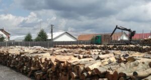 Cererile privind lemnele de foc vor putea fi depuse la Săcele în perioada 3 ianuarie-31 martie 2024