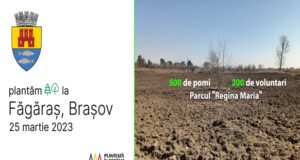 Acțiune de plantare a 500 de arbori la Făgăraș