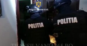 Cultivau canabis la Constanța, dar îl vindeau la Brașov! Trei indivizi au fost arestați