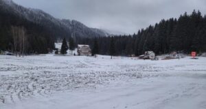 Garda de Mediu a descins în Poiana Brașov. S-au tăiat copaci în zona Centrului de Agrement (FOTO)