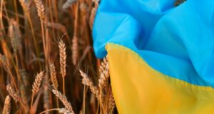 România va sigila și monitoriza mijloacele de transport cu cereale din Ucraina care ne tranzitează țara