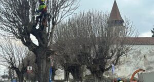 START acțiunilor de reparații, igienizare și întreținere la nivelul domeniului public al comunei Prejmer!