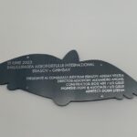 Placa Aeroport