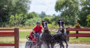 Se dă startul celui de-al V-lea Concurs Internațional de Atelaje de la Olteni