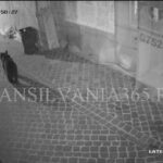 Urs ”alergat” cu mașina poliției pe străzile din Centrul Vechi al Brașovului (VIDEO, FOTO) 1 urs centru1