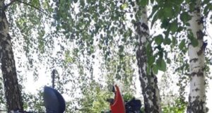 A intrat cu ATV-ul în copac