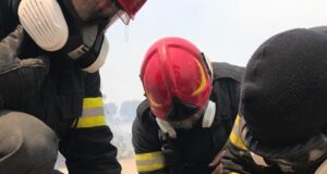 Emoționant! Iepuri și o pisică salvați de pompierii români în Rodos