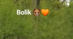 Bolik, ursul jucăuș din Zărnești, în finala World Unique Personality Award! Va avea nevoie de voturile noastre