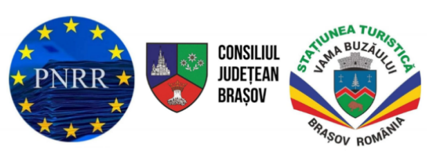 microbuz vama buzăului