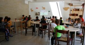 Activități pentru copii la sanctuarul de urși de la Zărnești