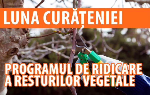 curațenie făgăraș
