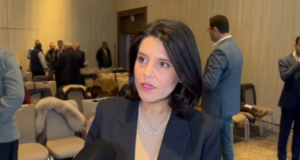 Ce a declarat Ana Predescu după trecerea la AUR