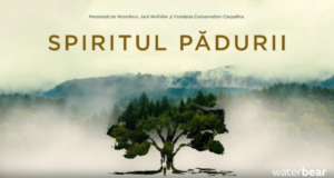 WaterBear lansează filmul documentar „Spiritul Pădurii” despre Pădurea cu Povești Nemuritoare din Nucșoara