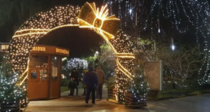 Un oraș din România, în top 10 orașe cu cele mai frumoase târguri de Craciun! Nu este Brașov