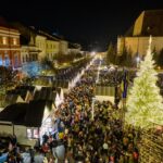 casute cluj