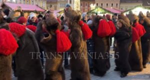 LIVE. Urșii de la Comănești au făcut spectacol în Piața Sfatului din Brașov