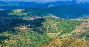 Localitatea cu cel mai lung nume din România se află în județul Brașov. Are 27 de litere
