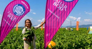 Mihaela Neagu, acționarul fabricilor de zahăr Bod și Luduș, apel către fermieri: „În Ardeal, încă se muncește!”