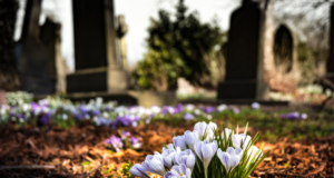 Foștii președinți vor beneficia de funeralii de stat