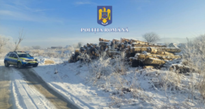 Material lemnos confiscat de polițiștii din cadrul Poliției Stațiunii Râșnov